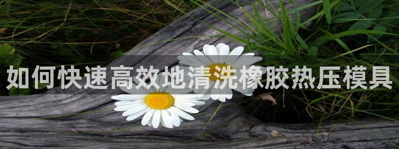 emc 倍频