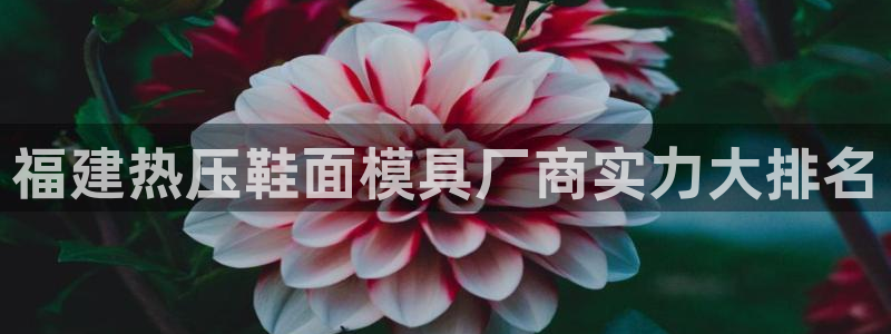 易倍达科技有限公司官网