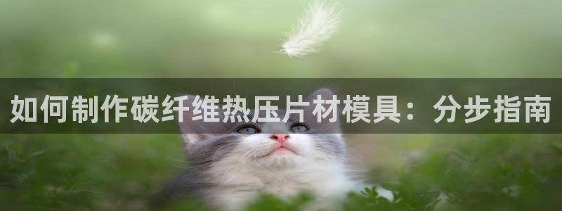 易倍EMC网址
