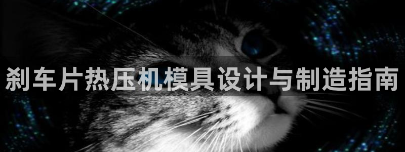 易倍纤酵素效果好吗