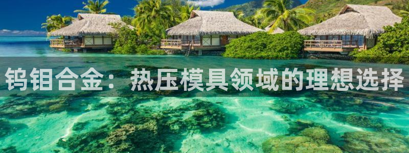 emc易倍账号异常