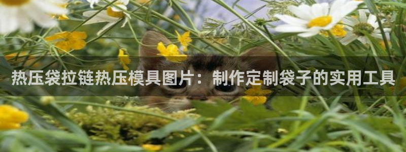 易倍单词登录平台：热压袋拉链热压模具图片：制作定制袋子的