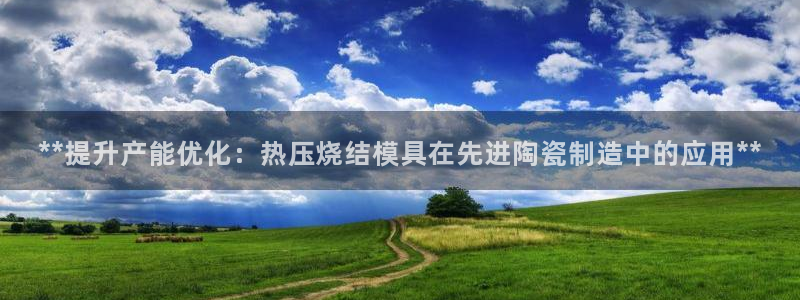 易倍申竞品：**提升产能优化：热压烧结模具在先进陶瓷制造