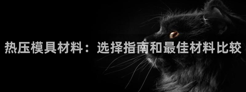 易倍达科技有限公司代运营：热压模具材料：选择指南和最佳材