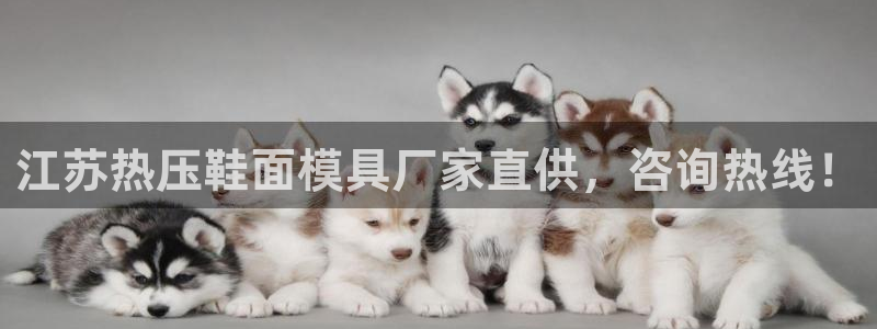 易倍网络技术有限公司怎么样