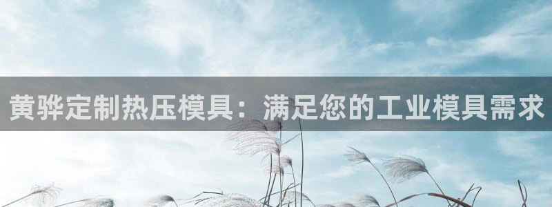 易倍网络技术有限公司：黄骅定制热压模具：满足您的工业模具