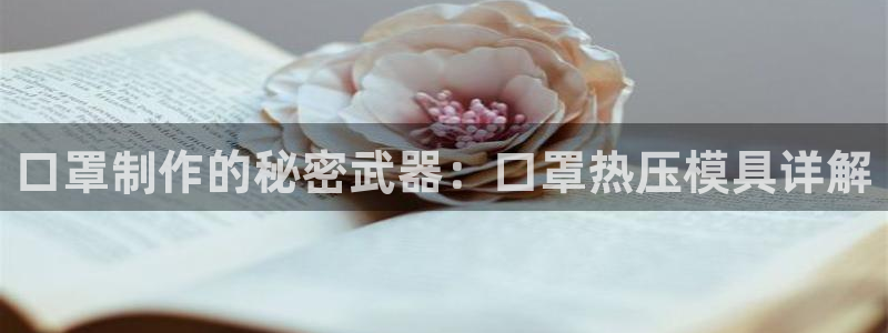 emc频率：口罩制作的秘密武器：口罩热压模具详解