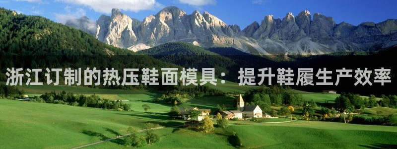 emc易倍官方下载：浙江订制的热压鞋面模具：提升鞋履生产