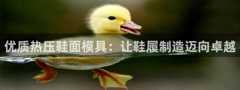 emc32软件：优质热压鞋面模具：让鞋履制造迈向卓越