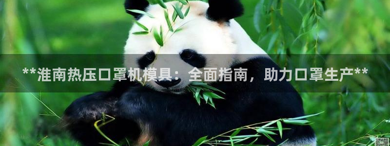 emc易倍官方平台：**淮南热压口罩机模具：全面指南，助