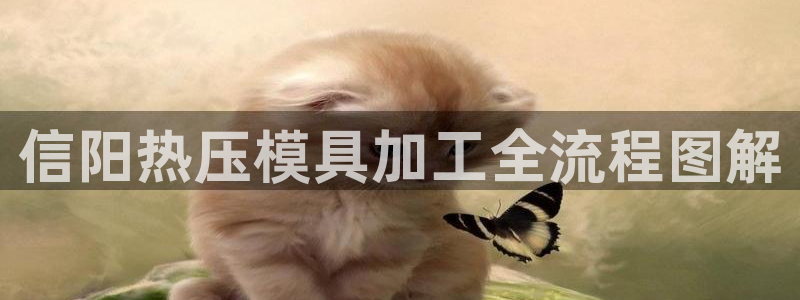 易倍申的价格