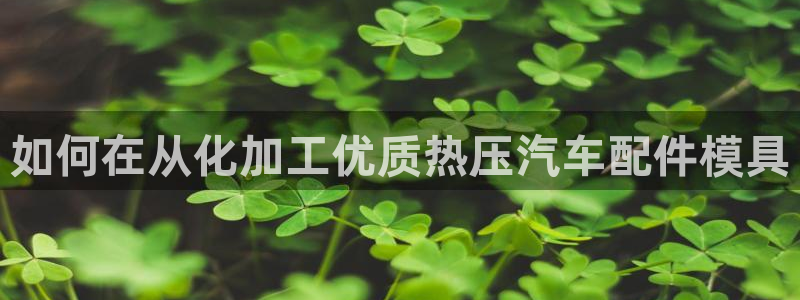 易倍单词官方网站下载