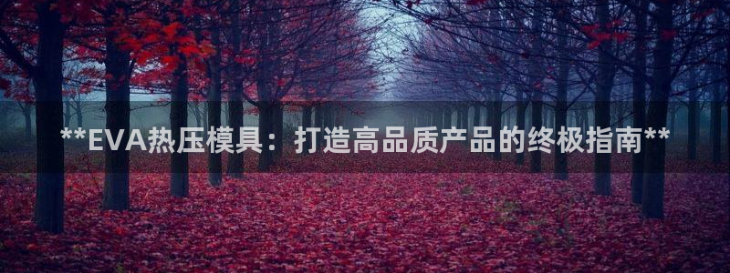 易倍单词如何下载：**EVA热压模具：打造高品质产品的终
