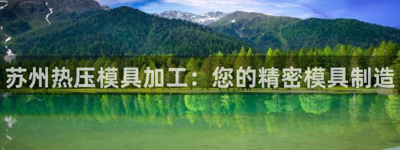 易倍纤谷物粉效果好吗：苏州热压模具加工：您的精密模具制造