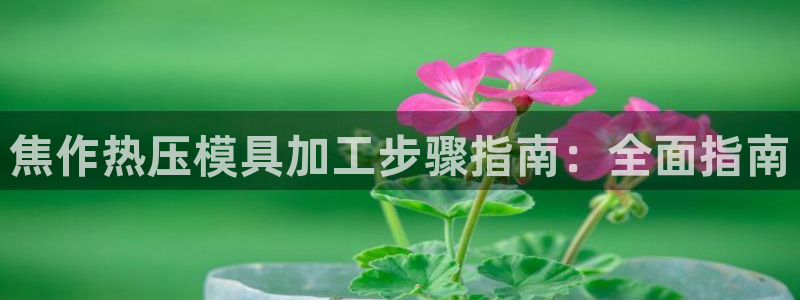 易倍申价格：焦作热压模具加工步骤指南：全面指南