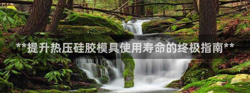 易倍网络技术有限公司招聘：**提升热压硅胶模具使用寿命的