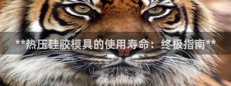 易倍申片：**热压硅胶模具的使用寿命：终极指南**