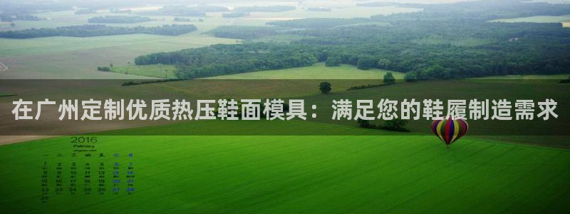 易倍单词官方网站下载安卓：在广州定制优质热压鞋面模具：满