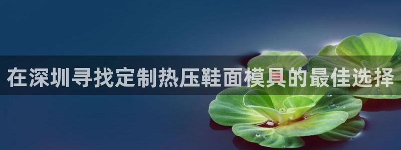 易倍单词软件