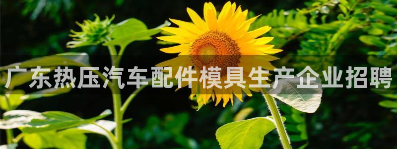 emc倍频