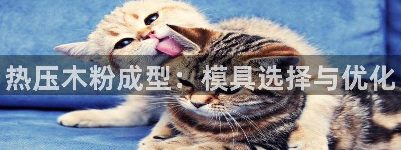 易倍达科技有限公司招聘