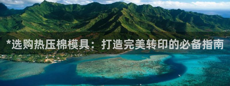 emc备份软件：*选购热压棉模具：打造完美转印的必备指南