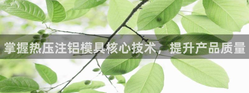 易倍emc网址网页版本登陆
