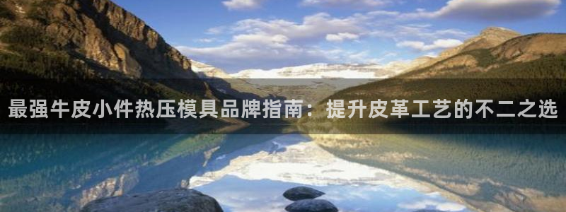 易倍企业管理软件怎么样：最强牛皮小件热压模具品牌指南：提