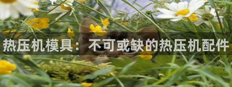 emc易倍官网