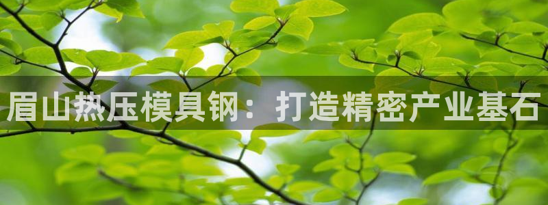 emc易倍首页