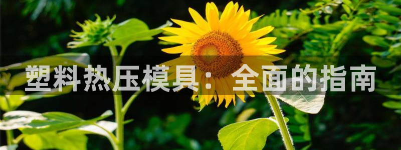 易倍申有用吗：塑料热压模具：全面的指南
