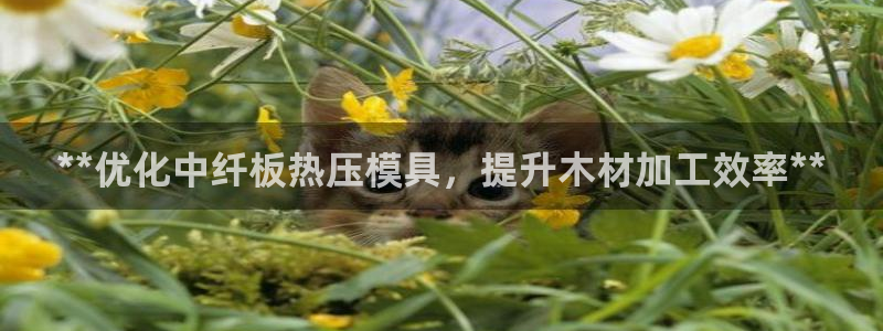 emc易倍官网app官网：**优化中纤板热压模具，提升木