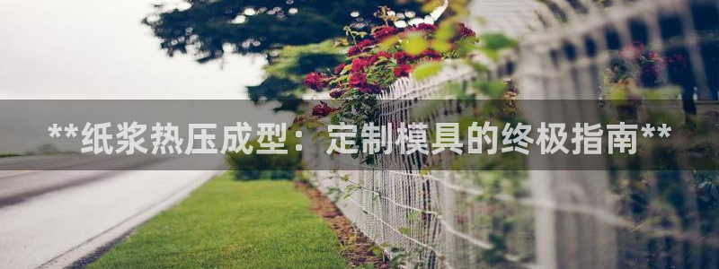 emc频率范围：**纸浆热压成型：定制模具的终极指南**