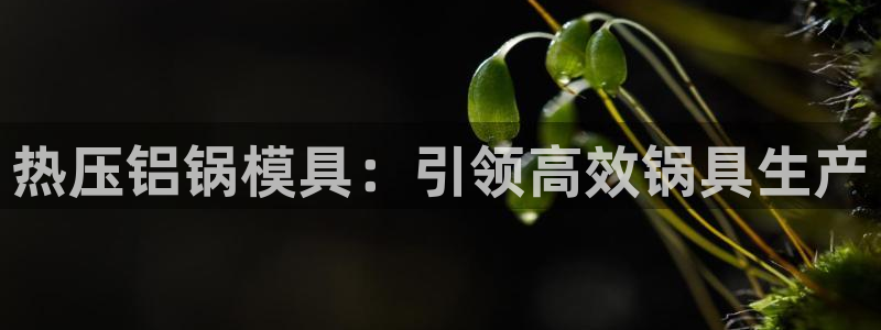 emc易倍官网app
