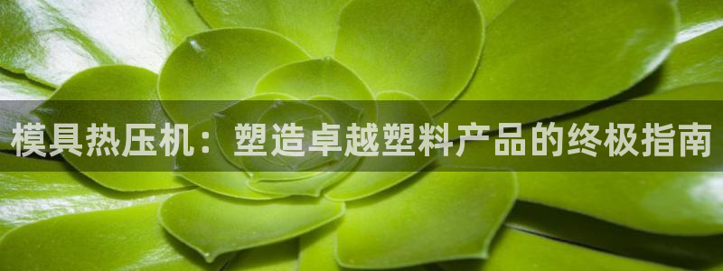 易倍单词官网下载：模具热压机：塑造卓越塑料产品的终极指南