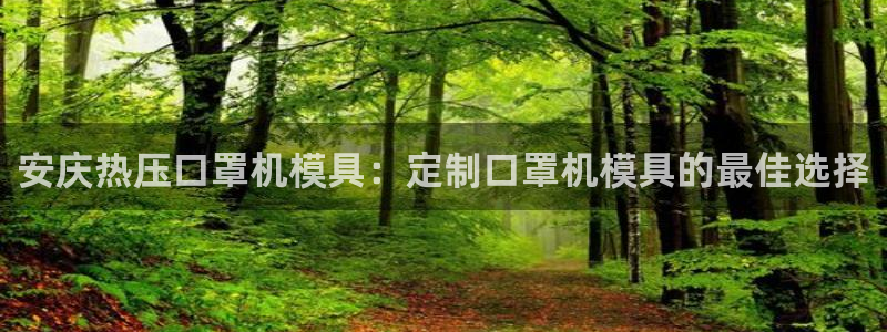emc易倍电竞：安庆热压口罩机模具：定制口罩机模具的最佳