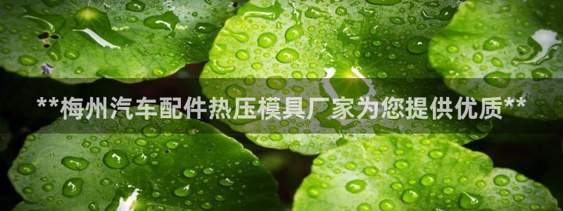 emc易倍最新链接：**梅州汽车配件热压模具厂家为您提供