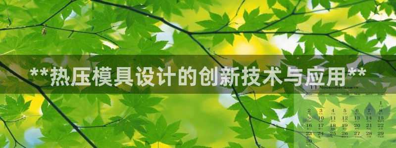 武汉易倍捷科技有限公司：**热压模具设计的创新技术与应用
