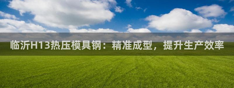 emc易倍的服务优势