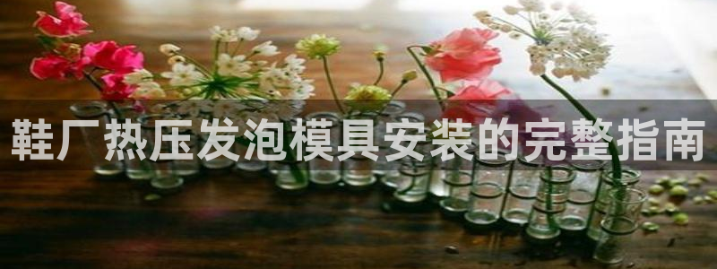 EMC易倍：鞋厂热压发泡模具安装的完整指南