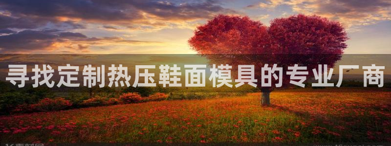 易倍纤谷物粉效果好吗：寻找定制热压鞋面模具的专业厂商