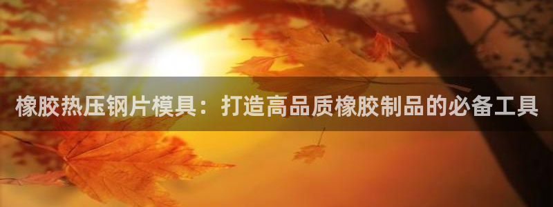 易倍申效果怎么样：橡胶热压钢片模具：打造高品质橡胶制品的