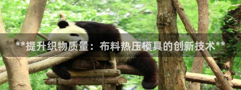 易倍思教育：**提升织物质量：布料热压模具的创新技术**