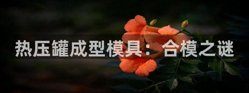 易倍网络技术有限公司怎么样