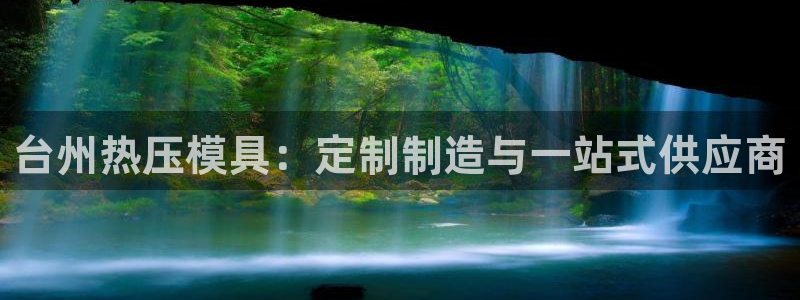 易倍纤代餐奶昔怎么样：台州热压模具：定制制造与一站式供应