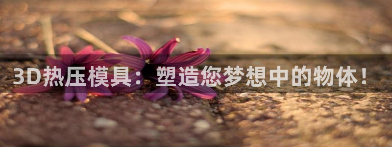 emc倍频超了：3D热压模具：塑造您梦想中的物体！