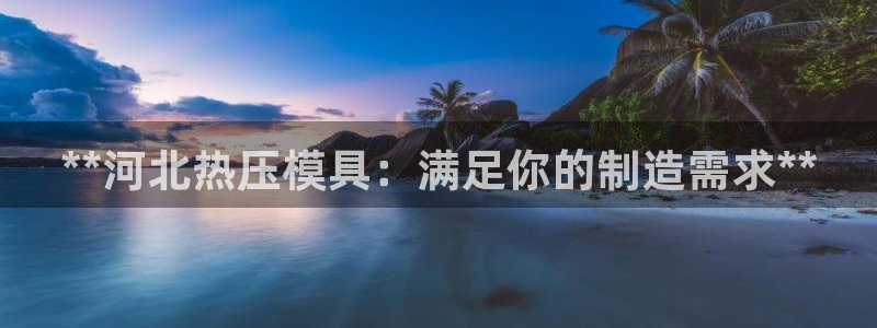 易倍思怎么样：**河北热压模具：满足你的制造需求**