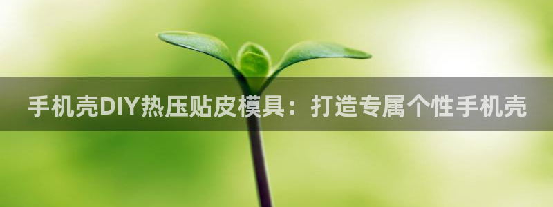 易倍emc网址