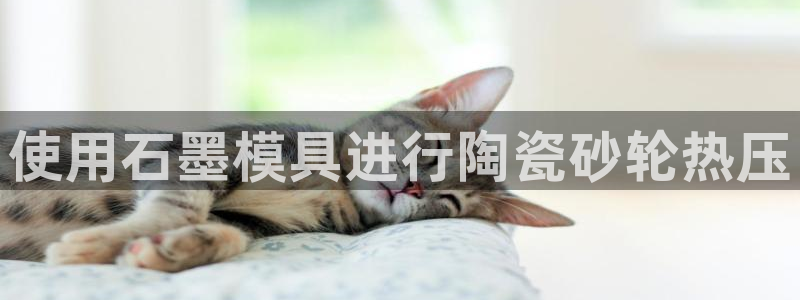 emc参数：使用石墨模具进行陶瓷砂轮热压
