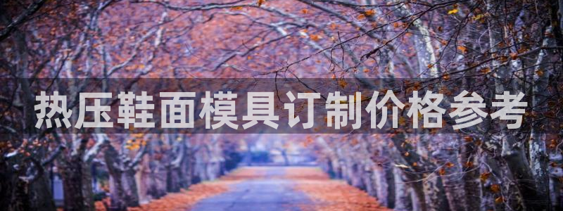 易倍单词软件：热压鞋面模具订制价格参考